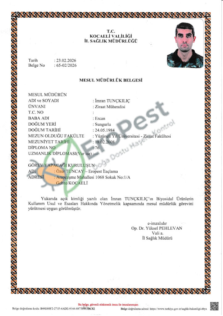 Mesül Müdür